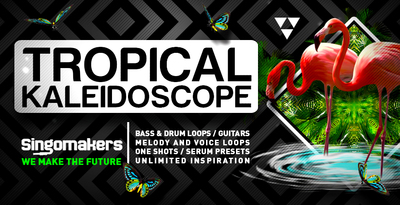 Singomakers tropical kaleidoscope bass drum loops guitars melody voice loops one shots serum presets unlimited inspiration 1000 512