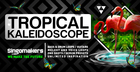 Tropical Kaleidoscope