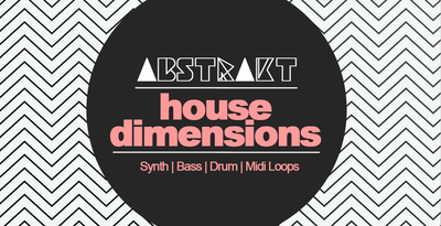 Abstrakt house dimensions 1000x512