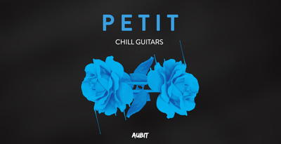 Petit guitars v1 1kx512