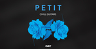 Petit Guitars Vol 1