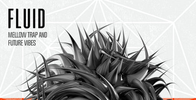 Production master   fluid artwork 1000x512