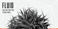 Production master   fluid artwork 1000x512