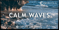 Ct cw nature recording waves 1000x512