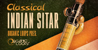 Classical Indian Sitar