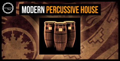 Industrial strength modern percussive house banner