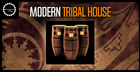 Modern Tribal House