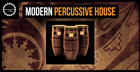Modern Percussive House
