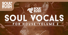 Soul Vocals For House Vol. 2