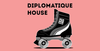 Iq samples diplomatique house 1000 512