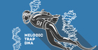 Melodic Trap DNA