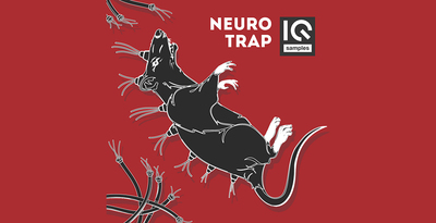 Iq samples  neuro trap1000 512
