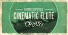 Cinematic Flute