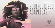 Royalty free vocal samples  disco vocal loops  female sensual vocals  catchy hooks  rectangle