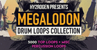 Megalodon Drum Loops Collection