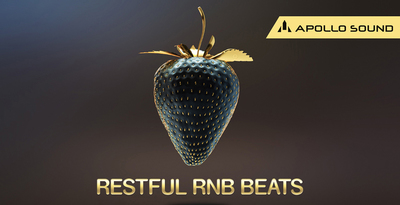 Restful rnb beats 512