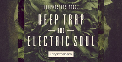Royalty free trap samples  neo soul keys and synths  deep trap bass and drum loops  trap vocal one shots  rectangle
