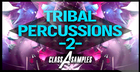 Tribal Percussions Vol 2