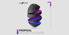 Tropical Patches & Loops
