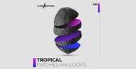 Cas tropical patches and loops 1000 512