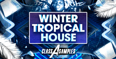 Cas winter tropical house 1000 512