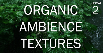 Shamanstems organic ambience and textures 2 banner 1000x512
