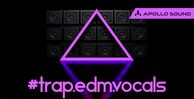 Trap edm vocals compressed
