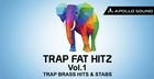 Trap Fat Hitz Vol.1 - Brass Hits & Stabs