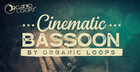 Cinematic Bassoon