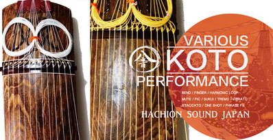 Koto strings japanese instrument banner