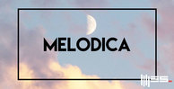 Melodica engineering samples electronica loops 512