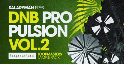 Royalty free drum   bass samples  dnb synth and top drum loops  d b percussion and bass loops rectangle