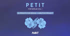 Petit For Serum Vol.1