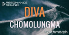 Synthmorph  - Diva Chomolungma