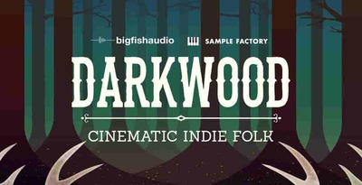 Darkwood 512 big fish audio indie loops