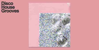 Disco house grooves 512 samplestar disco loops