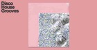 Disco House Grooves