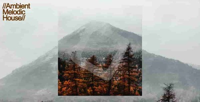 Ambient melodic house samplestar 1000 house loops