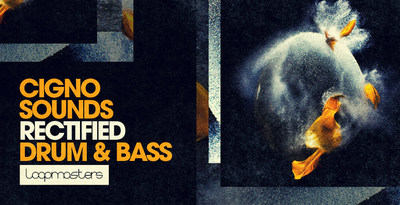 Royalty free drum and bass samples  dnb percussion  neuro drum   bass loops  synth and fx sounds  rectangle