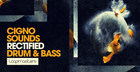 Cigno Sound - Rectified Drum & Bass