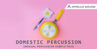 Domestic percussion 1000x512 compressed