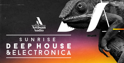 Royalty free deep house samples  balearic style house music  deep house vocals  synth   percussion loops  512