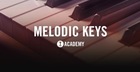 Toolroom Academy - Melodic Keys