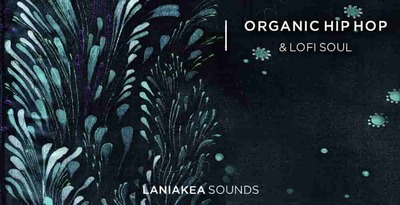Organic hip hop lofi soul laniakea sounds 512 hip hop loops
