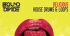 Delicious House Drums & Loops