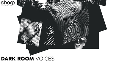 Sharp samples dark room voices 512 web