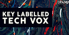 Key Labelled Tech Vox