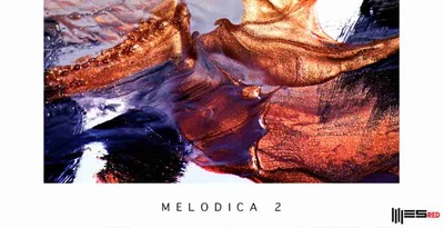 Melodica 2 512 engineering samples house loops