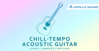 Chill-Tempo Acoustic Guitar