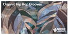 Organic Hip Hop Grooves